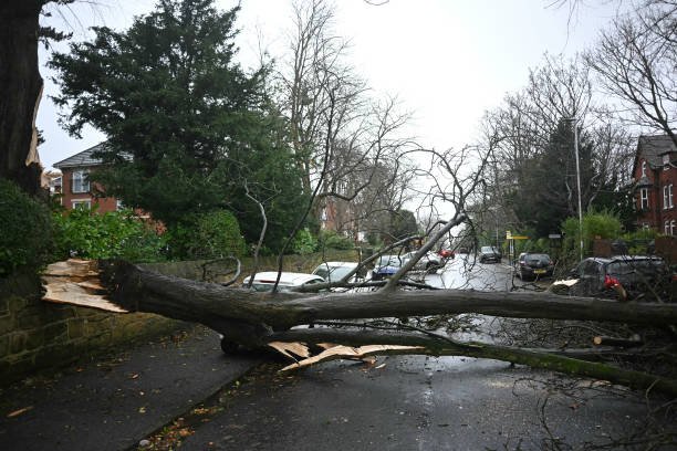 Two Killed by Falling Trees as 96mph Winds Batter Wales and West England