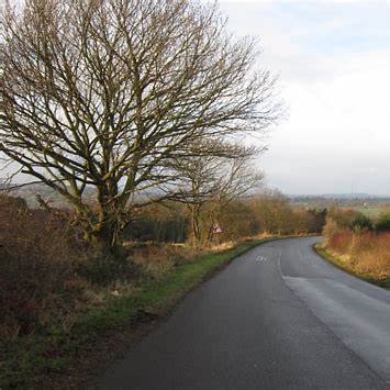 Three Teenagers Died and Two Injured After Car Hits Tree Near Wakefield, Police Appeal for Witnesses