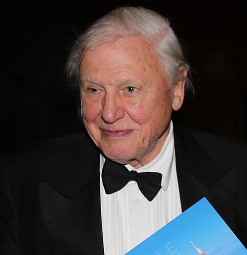 A Century of Wonder: Sir David Attenborough Reaches 100