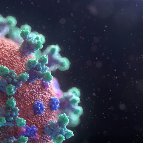 Global Airlines Deploy Emergency Health Screening After High Seas Virus Infiltration