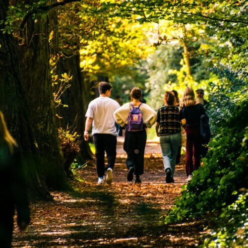New Natural History GCSE Set to Bring Environmental Learning Outdoors