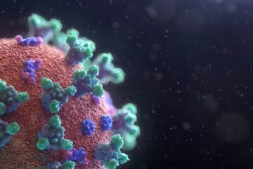 Global Airlines Deploy Emergency Health Screening After High Seas Virus Infiltration