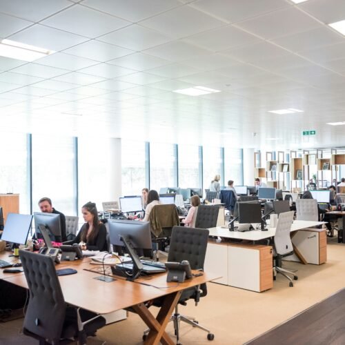 Core Professional Trends Reshaping the Career Landscape