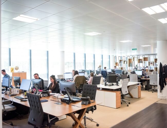 Core Professional Trends Reshaping the Career Landscape