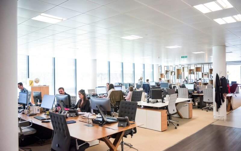 Core Professional Trends Reshaping the Career Landscape