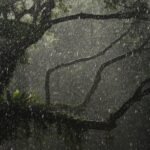 Latin America Mobilises as Governments Prepare for a Powerful El Niño