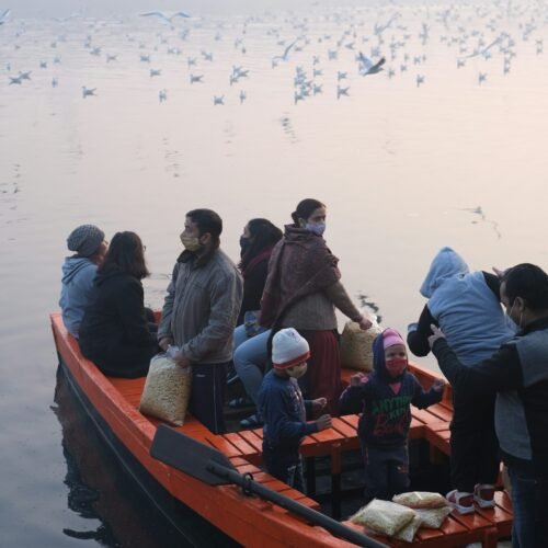 Portsmouth protests erupt after 140 migrants arrive by small boat